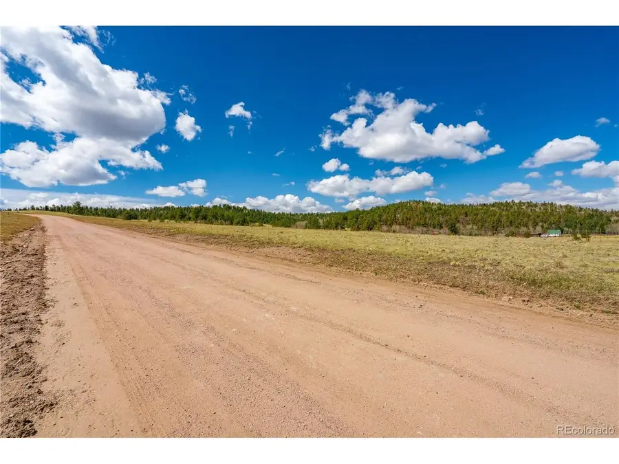 1265 County Rd 403, Florissant, CO 80816 - #3