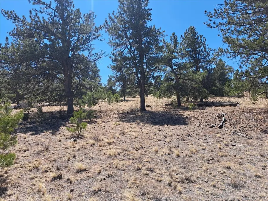 235 Maricopa Trl, Hartsel, CO 80449 - #2