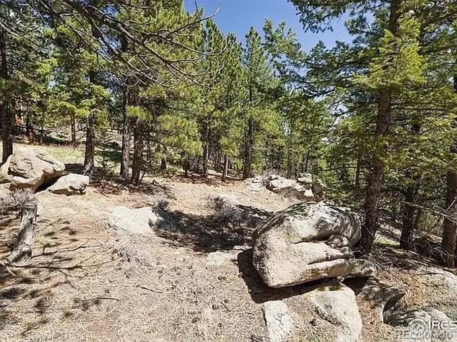 213 Rocky Knob Ln, Nederland, CO 80466 - #2