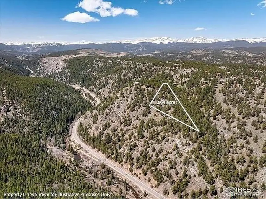 213 Rocky Knob Ln, Nederland, CO 80466 - #3