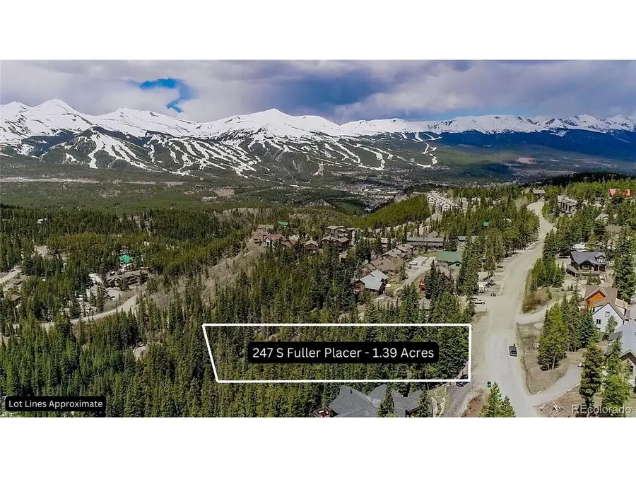 247 S Fuller Placer Rd, Breckenridge, CO 80424 - #2