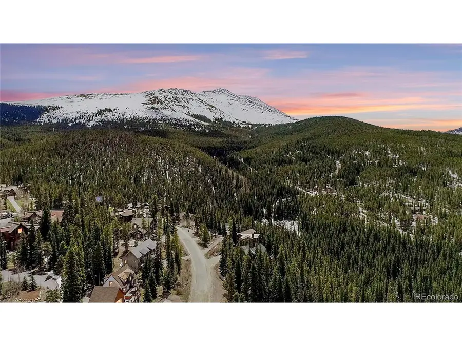247 S Fuller Placer Rd, Breckenridge, CO 80424 - #3
