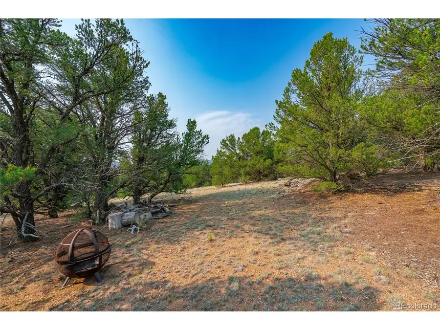 65 Elkhorn Rd, Cotopaxi, CO 81223 - #2