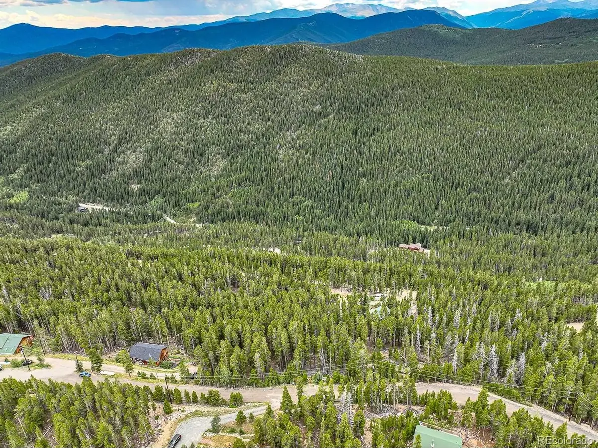 1111 Vista Rd, Idaho Springs, CO 80452 - #1