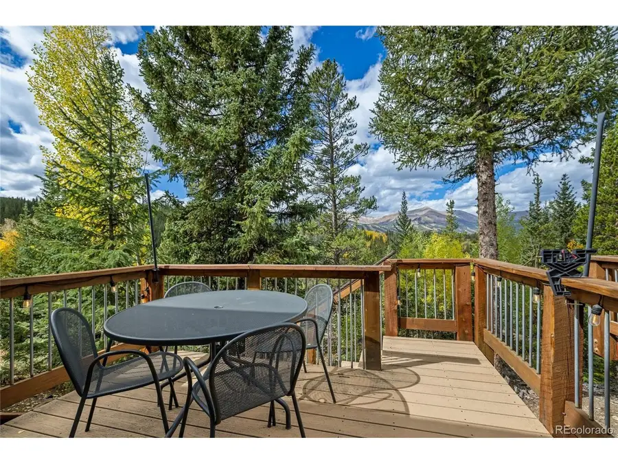 28 Illinois Gulch Rd #4, Breckenridge, CO 80424 - #2
