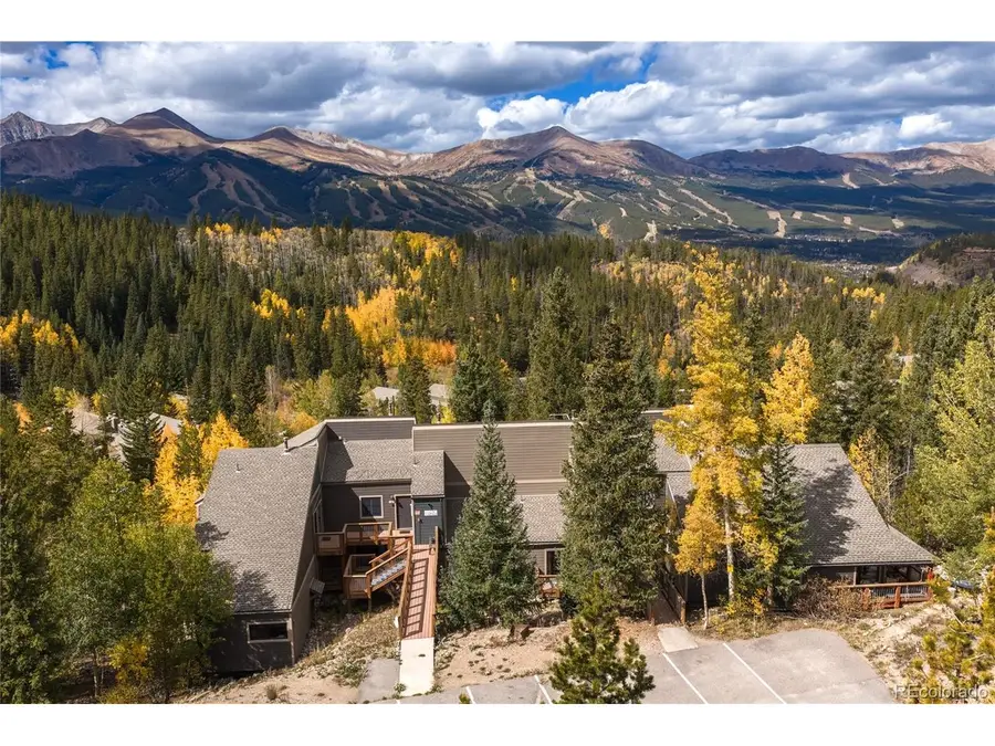 28 Illinois Gulch Rd #4, Breckenridge, CO 80424 - #3