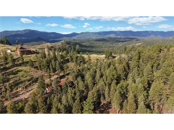 33476 La Plata Ln, Pine, CO 80470
