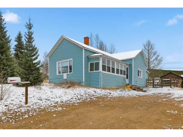 617 E 6th St, Leadville, CO 80461