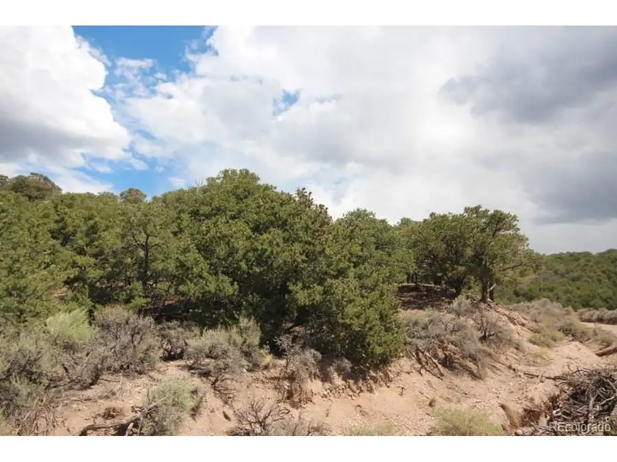 2157 San Isabel Rd, Fort Garland, CO 81133 - #2