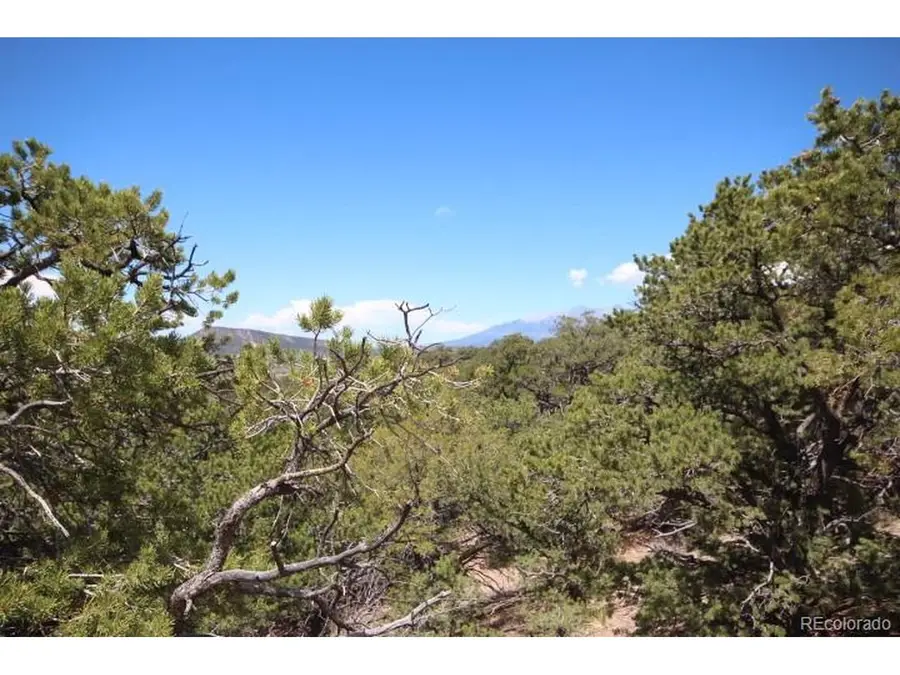 2157 San Isabel Rd, Fort Garland, CO 81133 - #3