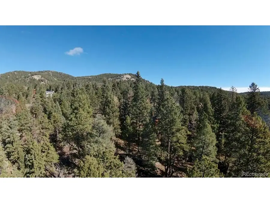 12282 Hosman Ct, Conifer, CO 80433 - #2