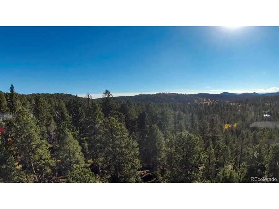 12282 Hosman Ct, Conifer, CO 80433 - #3