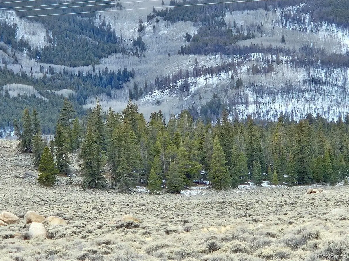 Parcel 11, Tract 11, Twin Lakes, CO 81251 - #1