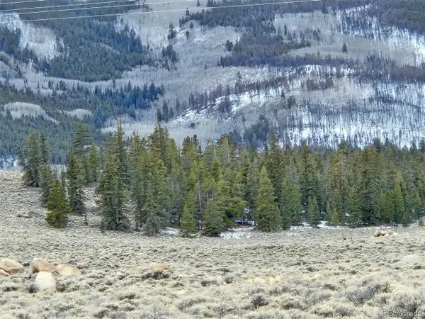 Parcel 11, Tract 11, Twin Lakes, CO 81251