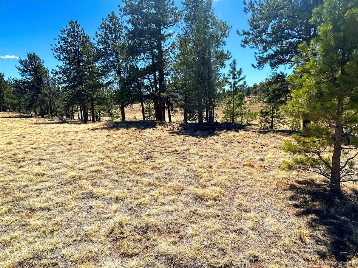 Singletree Rd, Buena Vista, CO 81211 - #1
