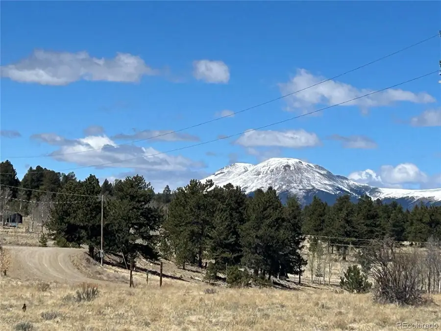 Singletree Rd, Buena Vista, CO 81211 - #3