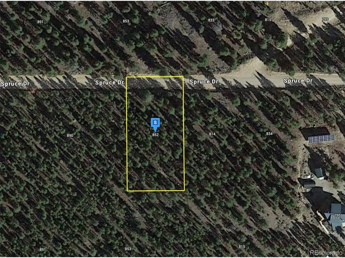 852 Spruce Dr, Twin Lakes, CO 81251 - #1