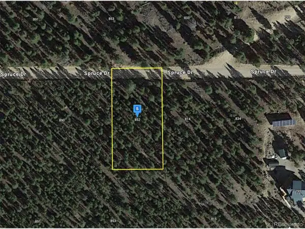 852 Spruce Dr, Twin Lakes, CO 81251