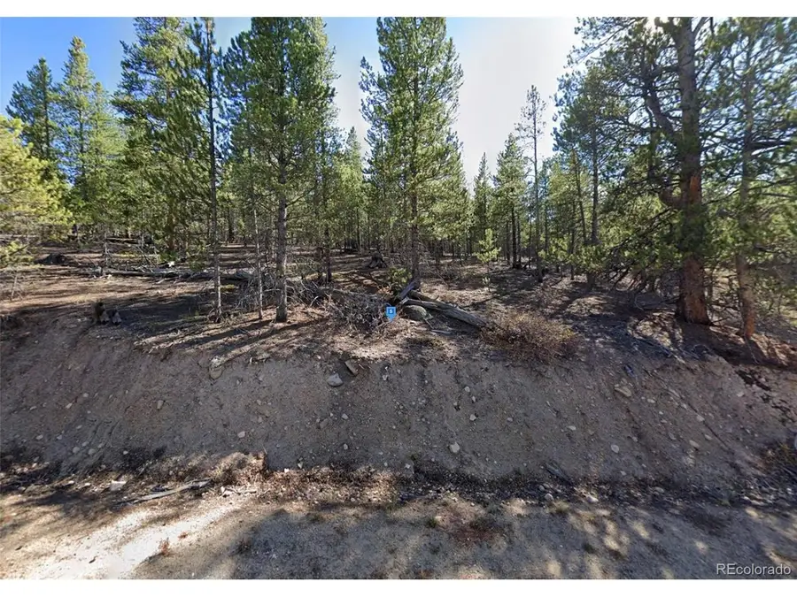 852 Spruce Dr, Twin Lakes, CO 81251 - #2