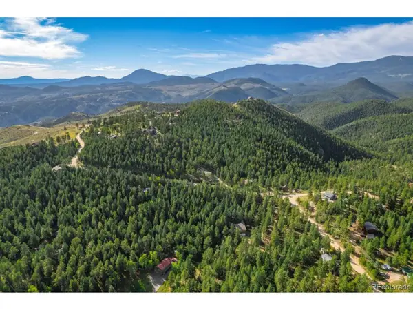 360 Hi Meadow Dr, Bailey, CO 80421