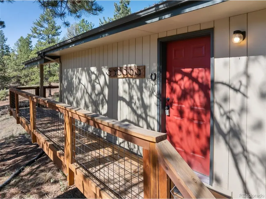 62 White Trl, Lake George, CO 80827 - #3