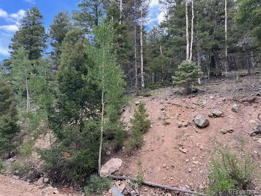 6184 Ryland Rd, San Luis, CO 81152 - Image #3