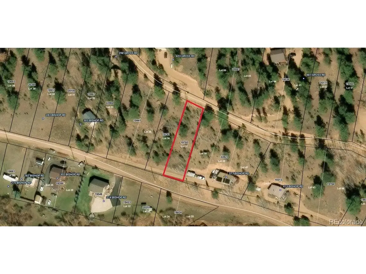 357 Bishop Rd, Bailey, CO 80421 - #1