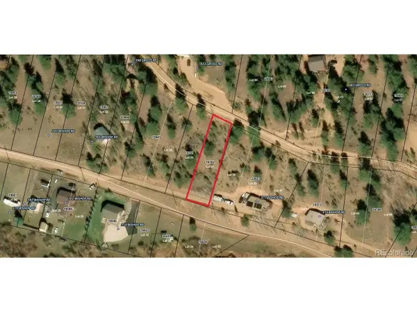 357 Bishop Rd, Bailey, CO 80421