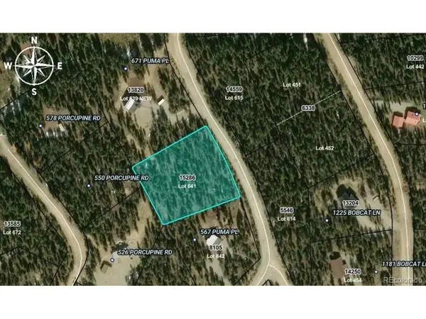 Address Withheld By Seller, Fairplay, CO 80440
