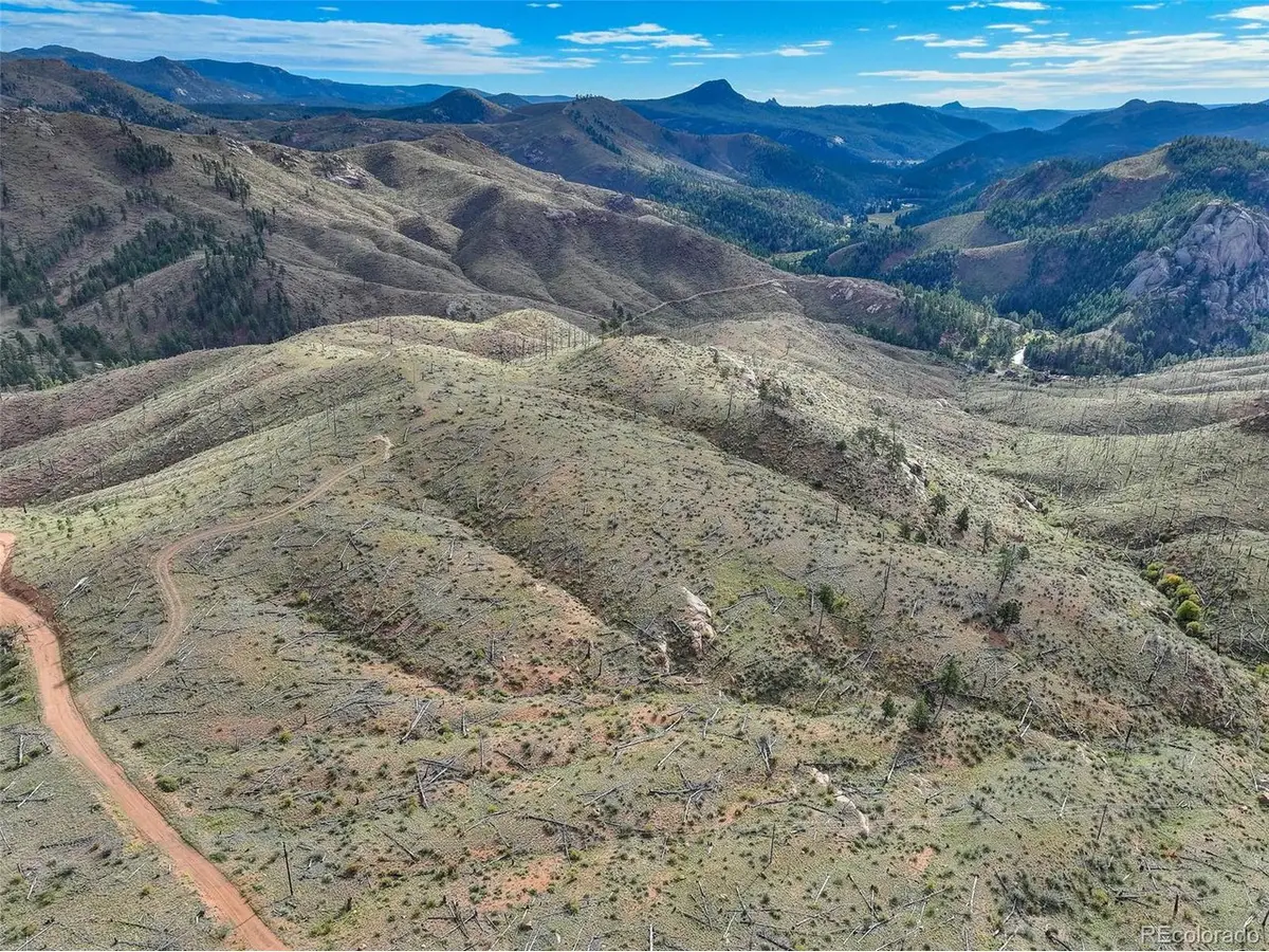 770 Holmes Gulch Way, Bailey, CO 80421 - #1
