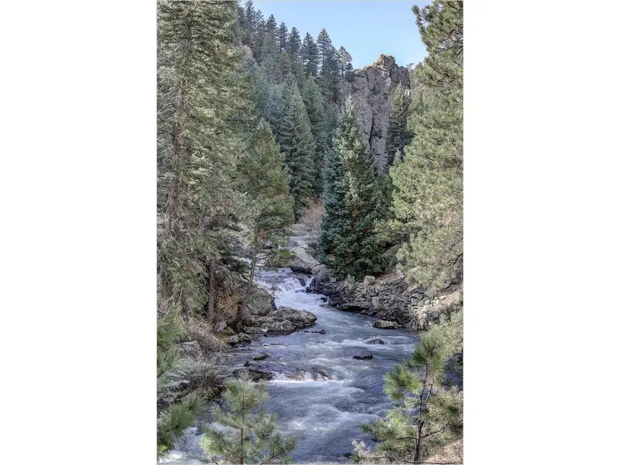 770 Holmes Gulch Way, Bailey, CO 80421 - #3