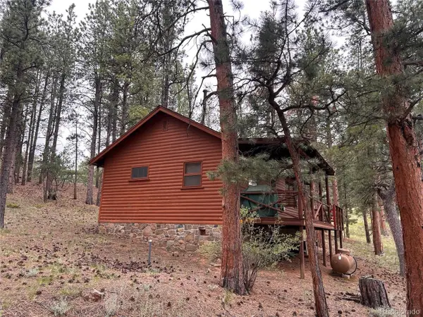 861 Happy Top Trl, Bailey, CO 80421