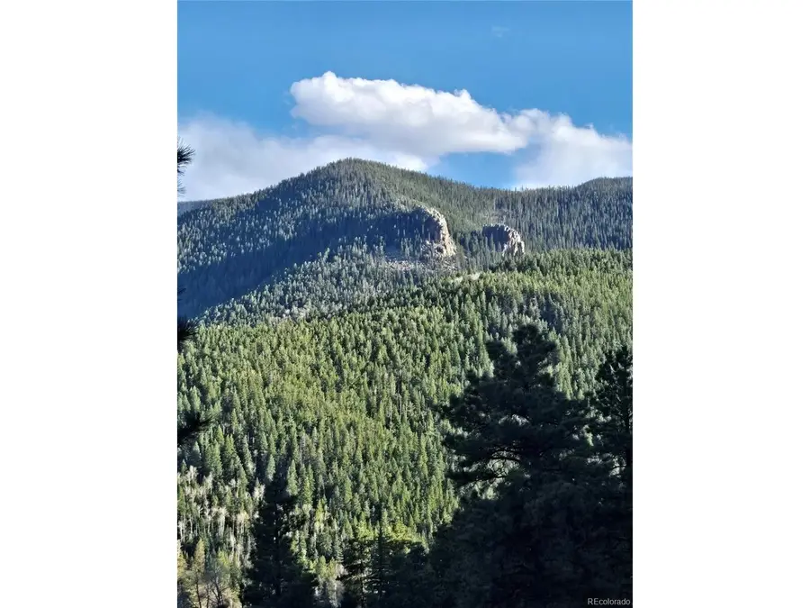 161 Highland Cir, Rye, CO 81069 - #3
