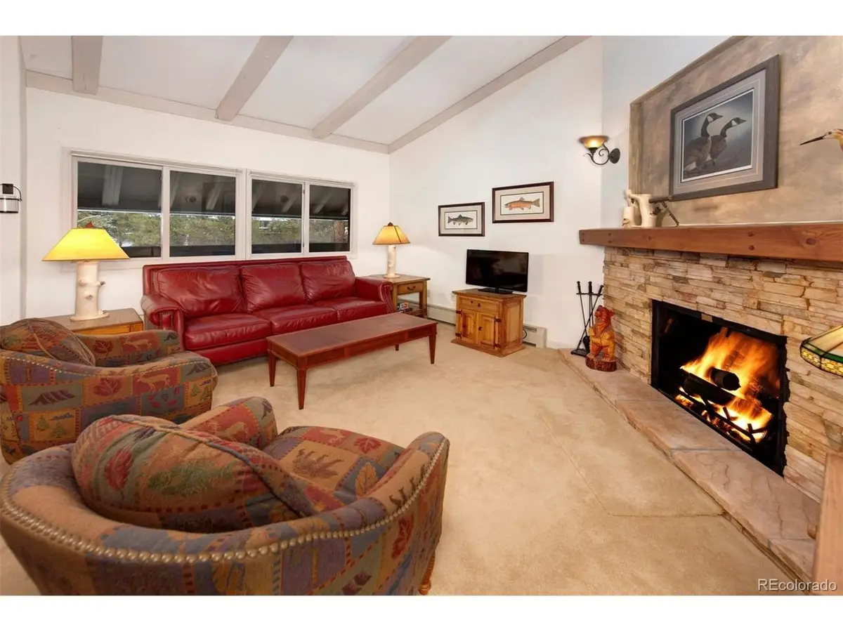 311 S High St #209, Breckenridge, CO 80424 - #1