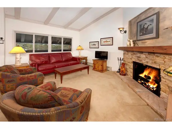 311 S High St #209, Breckenridge, CO 80424