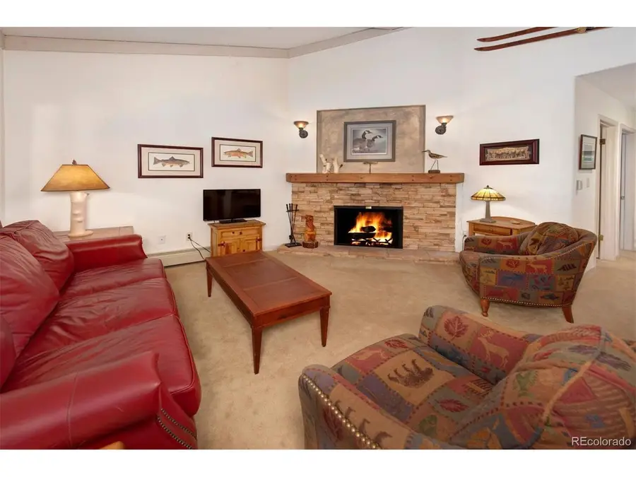 311 S High St #209, Breckenridge, CO 80424 - #2