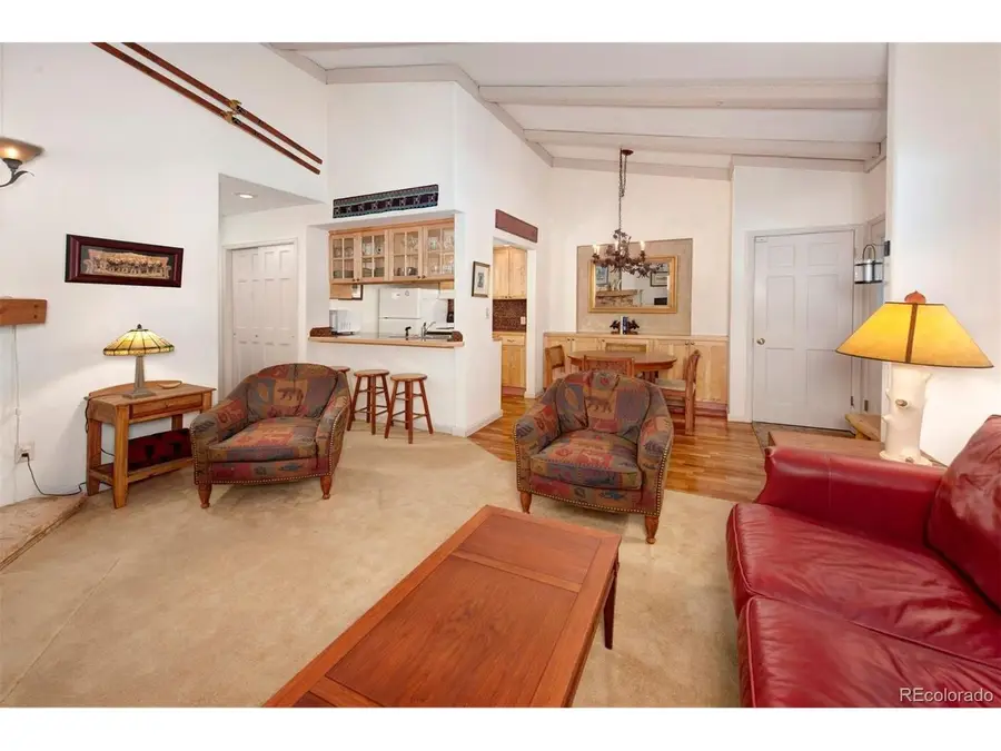 311 S High St #209, Breckenridge, CO 80424 - #3
