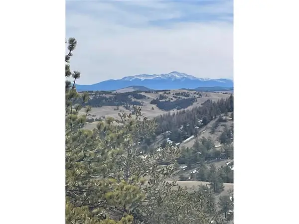 Antelope Rd, Hartsel, CO 80449