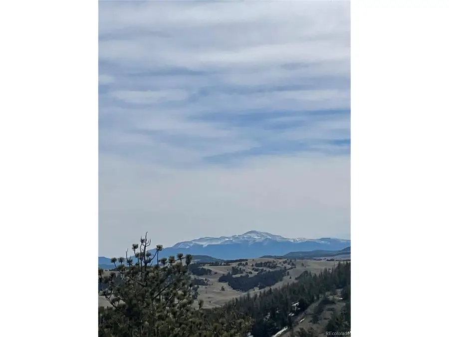 Antelope Rd, Hartsel, CO 80449 - #2