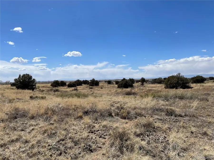 1307 Spanish Creek Rd, Crestone, CO 81131 - #3