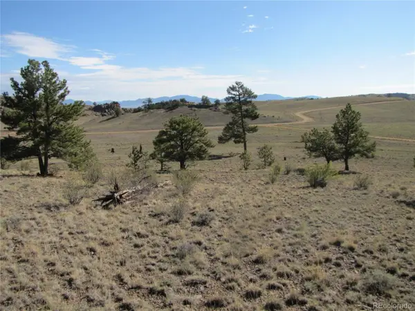 49 Quail Ct, Hartsel, CO 80449