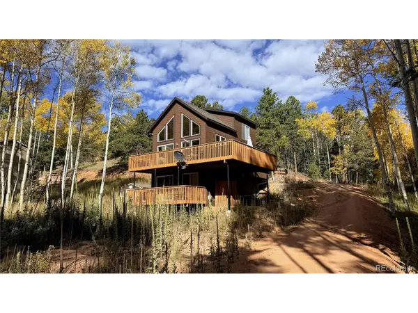 263 Wakanda Trl, Woodland Park, CO 80863