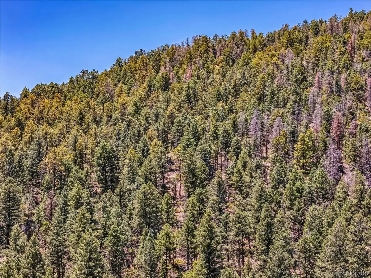 Tallahassee Ln, Canon City, CO 81212 - #1