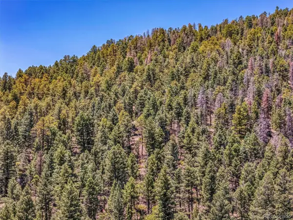 Tallahassee Ln, Canon City, CO 81212
