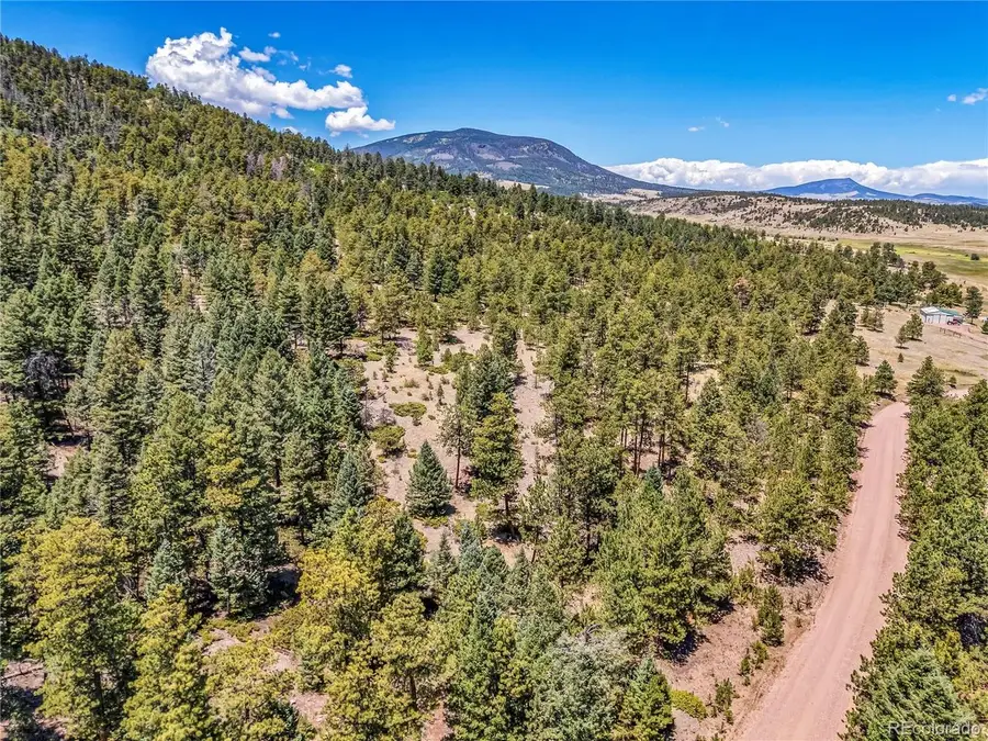 Tallahassee Ln, Canon City, CO 81212 - #3
