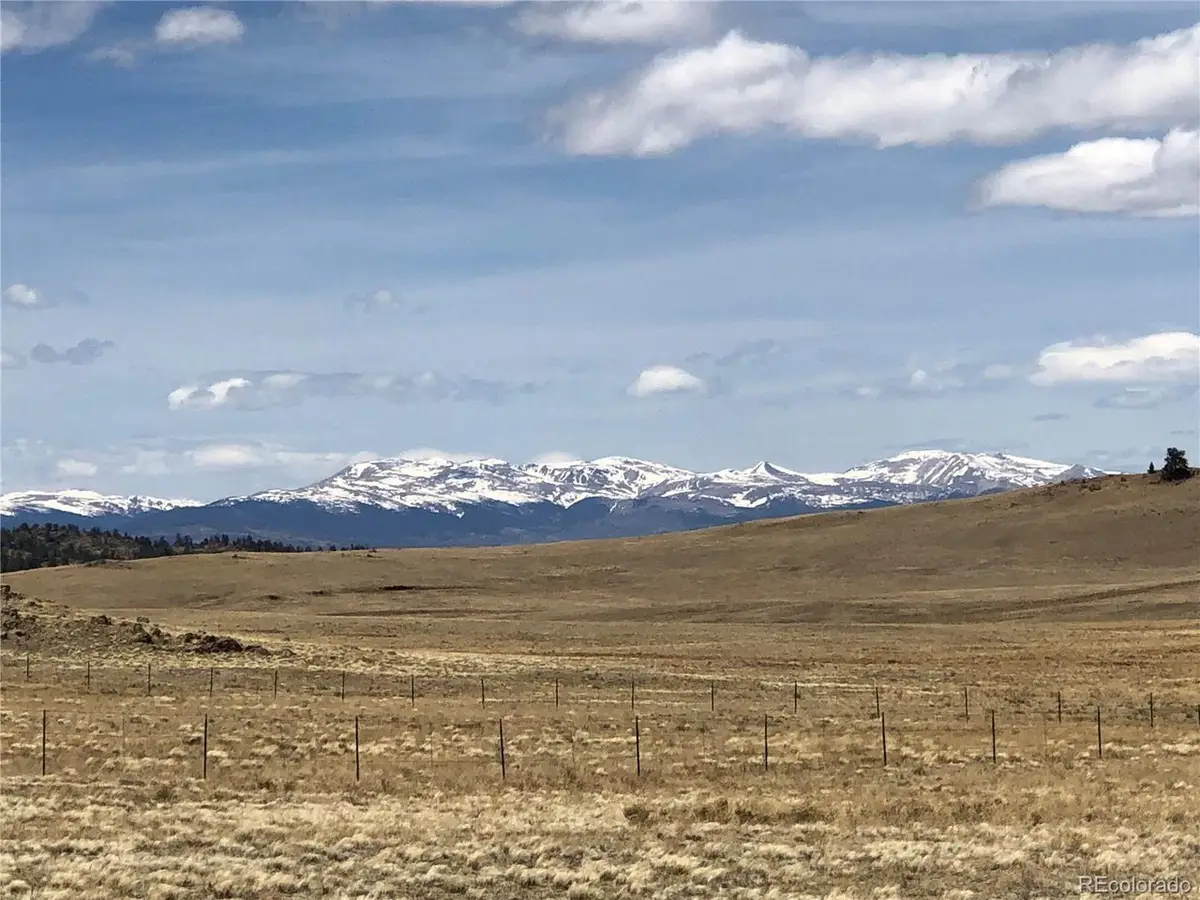 0 Lenape Trl, Hartsel, CO 80449 - #1