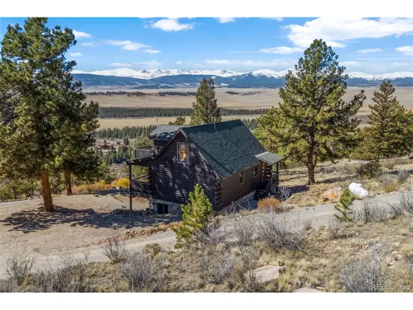 1995 Bonell Dr, Fairplay, CO 80440