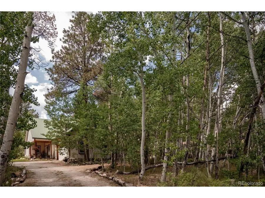 14820 Little Beaver Ln, Nathrop, CO 81236 - #2