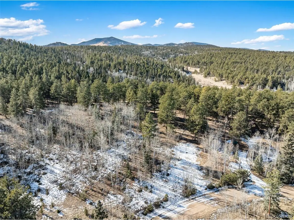 20 Echo Lake Dr, Lake George, CO 80827 - Image #1