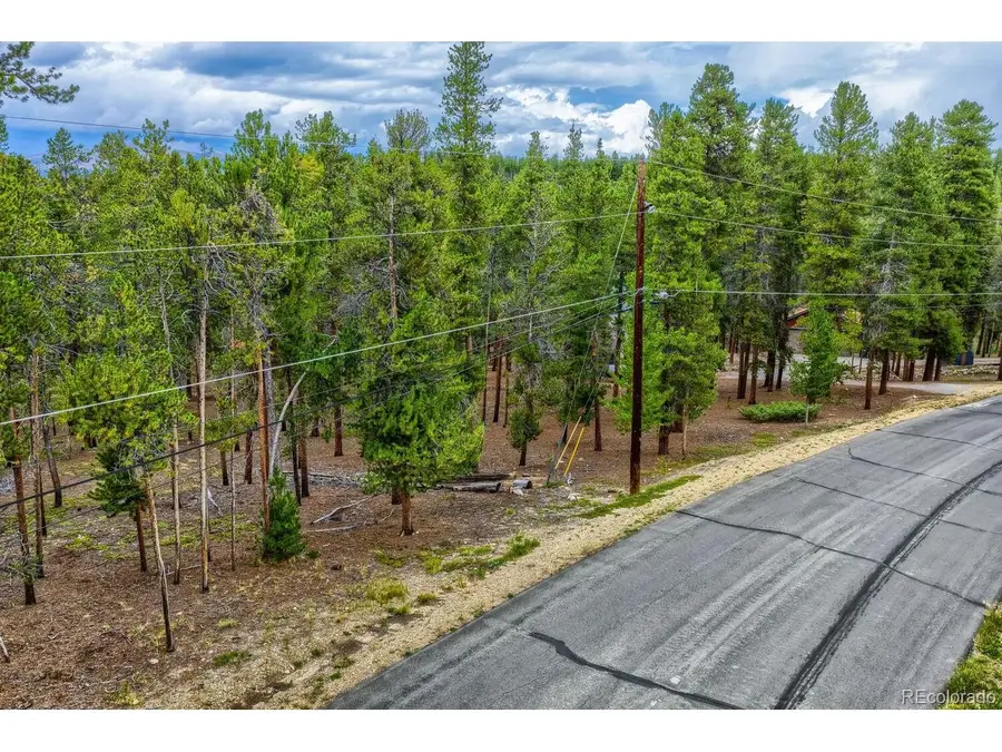 836 Baby Doe Dr, Leadville, CO 80461 - #3